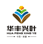 新疆思域信息技术有限公司