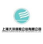 上海大洋保险公估有限公司新疆分公司